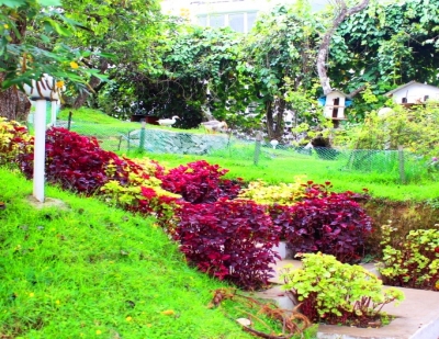 Mount Pleasant Boutique Resort