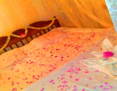 Mount Pleasant Boutique Resort